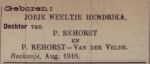 Rehorst Jobje Neeltje Hendrika-NBC-17-08-1916  (B38A) .jpg